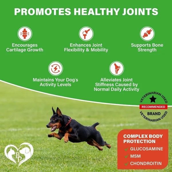Dog Hip And Joint Supplement Arthritis Pain Relief Treats Glucosamine Chondroitin MSM Soft Chews
